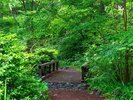 【遊歩道】小橋を渡りながら、四季折々の自然を楽しめます。
