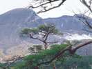 【韓国岳】