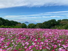 能古島