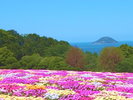 能古島