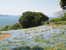 能古島