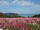 能古島
