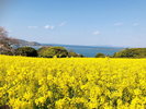 能古島