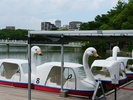 大濠公園
