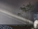匠の技術と最上のデザインが融合し、静かで落ち着いた唯一無二の空間を演出。