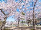 【西公園】写真提供:公益財団法人仙台観光国際協会