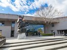 【仙台市博物館】写真提供:公益財団法人仙台観光国際協会