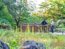 【仙台市野草園】写真提供:公益財団法人仙台観光国際協会