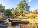 【東北大学植物園】写真提供:公益財団法人仙台観光国際協会
