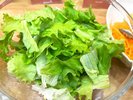 日替わり朝食・サラダ一例