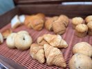 様々な種類のパンをご用意しております。