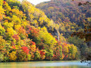 【観光情報/秋のくったり湖】山々が紅葉する美しい景色を見ることができます。