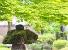 【庭園】全客室から望める日本庭園。古き良き時代の香が漂う。