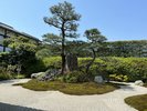 【庭園・主庭】季節により表情を変える