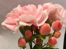お祝いプラン 花