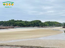 大川島海水浴場