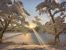 *【大沼湖】雪景色の朝の一コマ。白銀の世界に光が差し込む、幻想的な冬の朝です