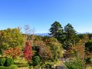 *【LAKE&FORESTview湖畔側/和室8畳】お部屋からの眺望は、四季折々の表情が楽しめます