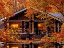 【シルバーパイン】立ち枯れの松「ケロ」に抱かれる佇まい。木々に囲まれた穏やかな滞在を。