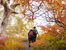 Hiking