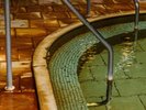 �V�R����E����{����Ŗ����̎��Ԃ��B