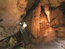 ◆龍河洞「画像提供:高知県観光コンベンション協会」