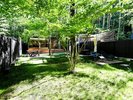 Garden Forest C
