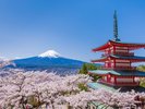 新倉山浅間公園/当施設からお車で約20分。 富士山と五重塔が共演する、世界的に有名な絶景スポット。
