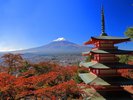 新倉山浅間公園/当施設からお車で約20分。 富士山と五重塔が共演する、世界的に有名な絶景スポット。