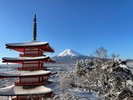 新倉山浅間公園/当施設からお車で約20分。 富士山と五重塔が共演する、世界的に有名な絶景スポット。