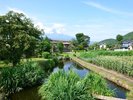 忍野八海/当施設からお車で約20分。世界遺産としてのブランド力と、神秘的な湧水が魅力的なスポット。