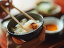 この夏限定のアオリイカ丼プラン。お得なプランです