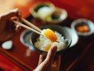 アオリイカは卵にまぶすとおいしさが増します