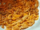 紫ウニは生のまま。ミョウバンなどにはつけていません