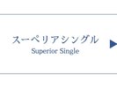 【2025年客室リニューアル!】スーペリアシングル