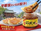 かけるギョーザ