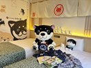 和んこ堂コラボルーム