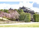 【臨江閣】春、桜とともに
