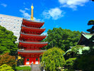 初夏の福岡・東長寺「五重塔」、当ホテルから徒歩5分