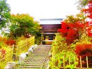四季折々の自然と静寂に包まれる呑山観音寺。