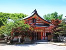 福岡市の紅葉した紅葉八幡宮