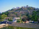 丸亀城までお車で約12分