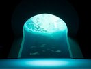 四国の水景をイメージした展示 ※写真提供:四国水族館