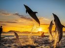 夕方の四国水族館