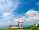 雲辺寺までお車で約50分