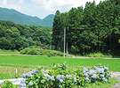 四季味亭ふじや 夏