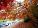塩原温泉の紅葉
