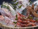 能登より毎日届く産地直送鮮魚
