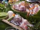 能登からの産直鮮魚