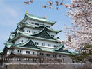 【観光】名古屋城